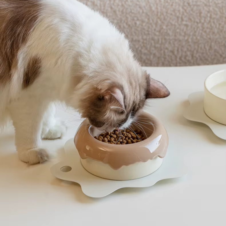 3 in 1 Cat Food Water Mat Tableware