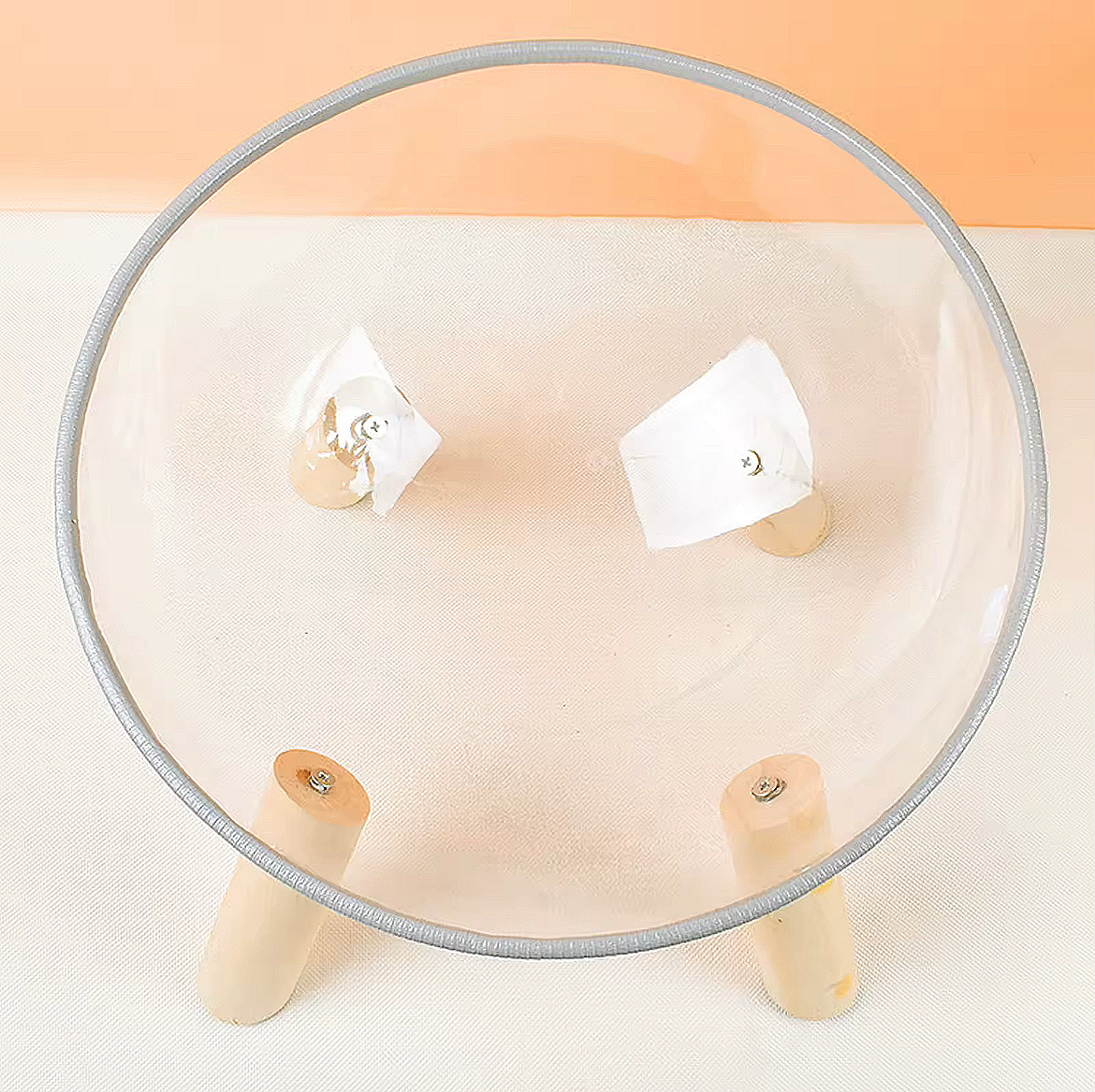 Transparent Capsule Elevated Pet Bed