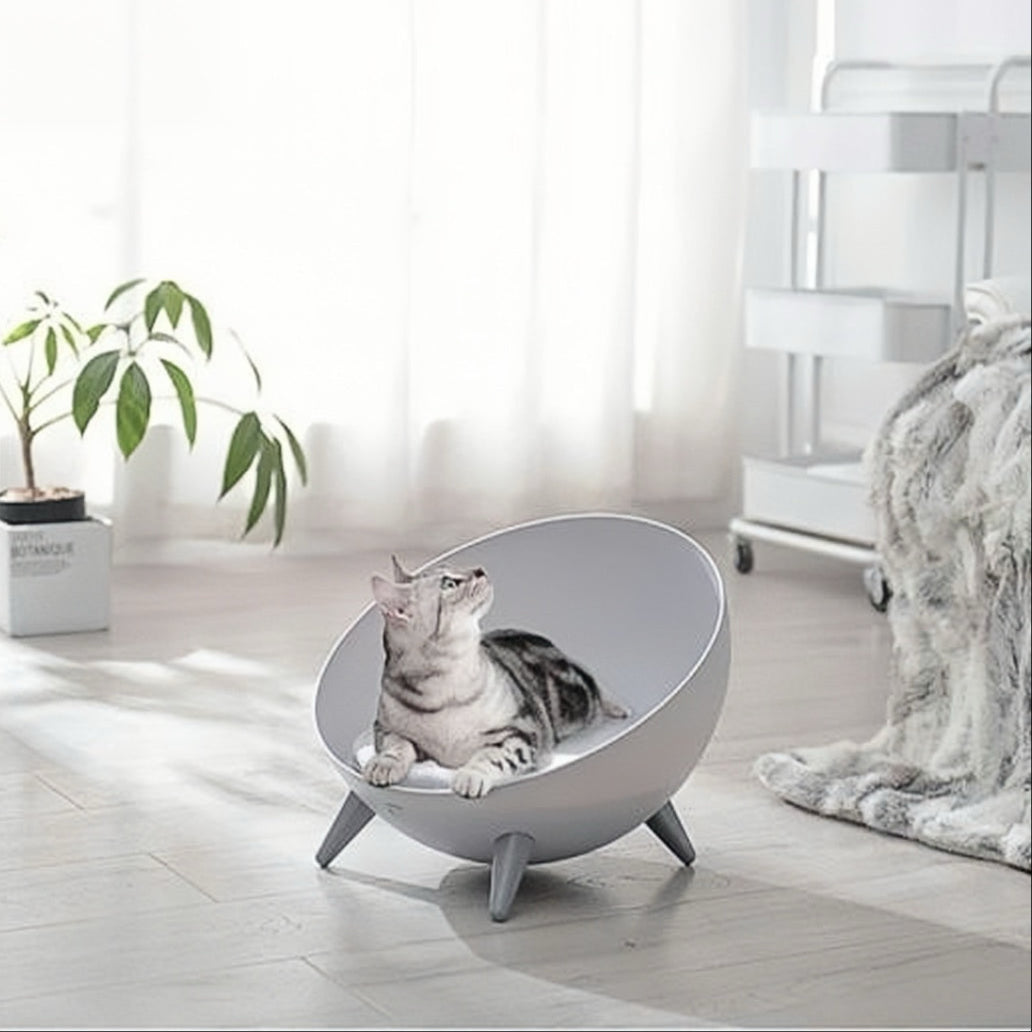 Hemisphere Raised Pet Bed