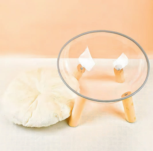 Transparent Capsule Elevated Pet Bed