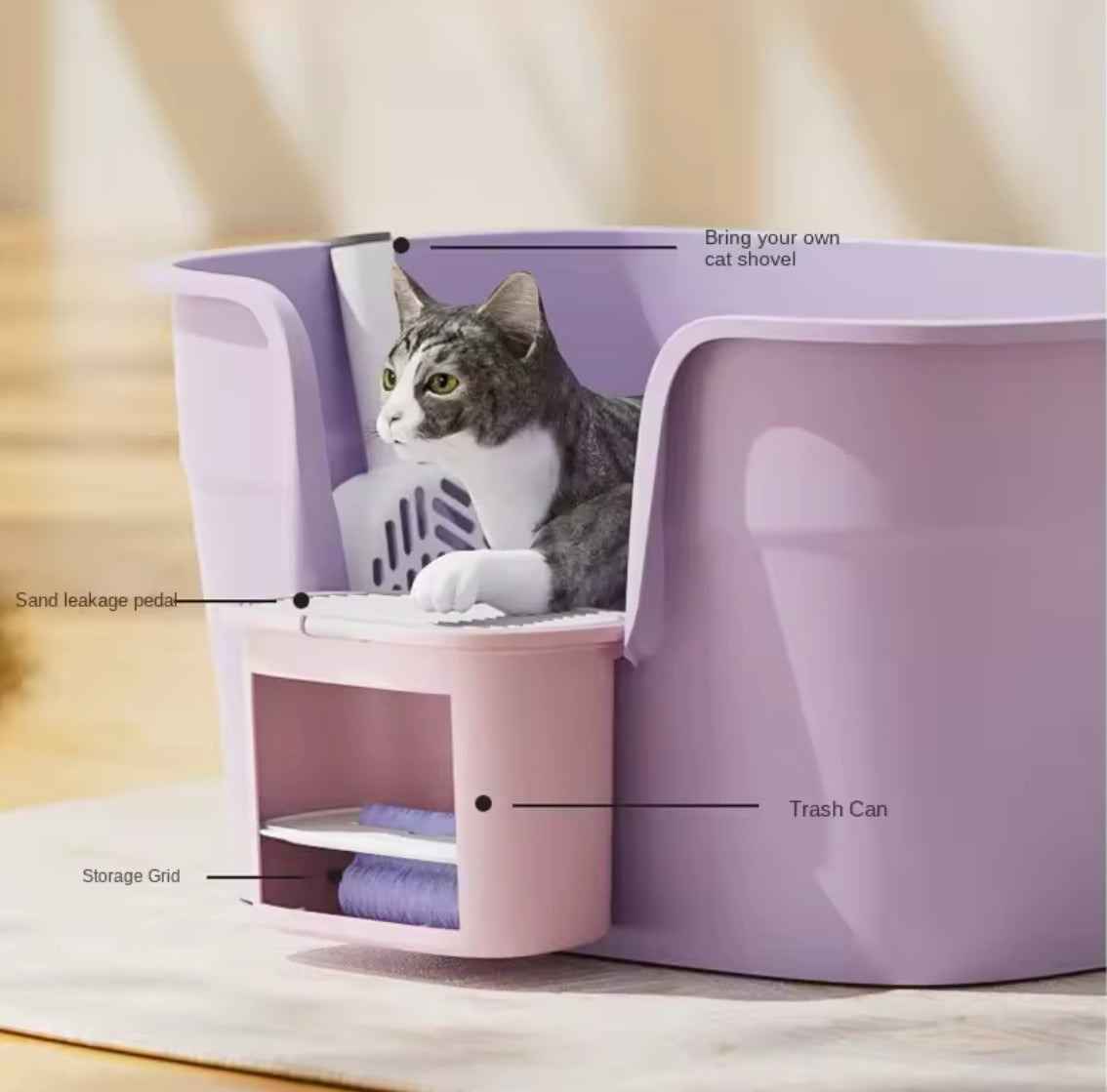 Oversized Open Cat Litter Box with Elevated Entrance