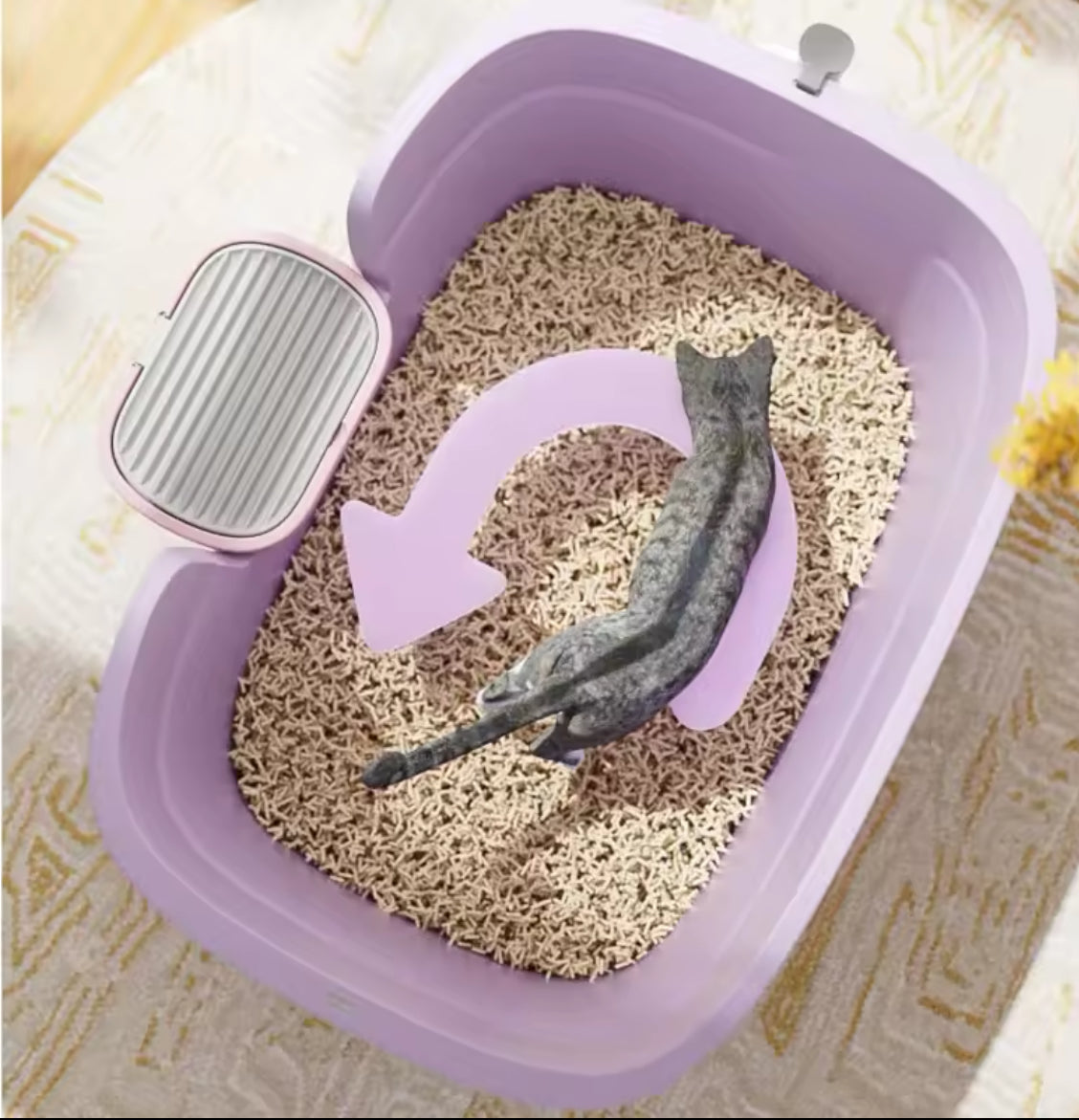 Oversized Open Cat Litter Box with Elevated Entrance