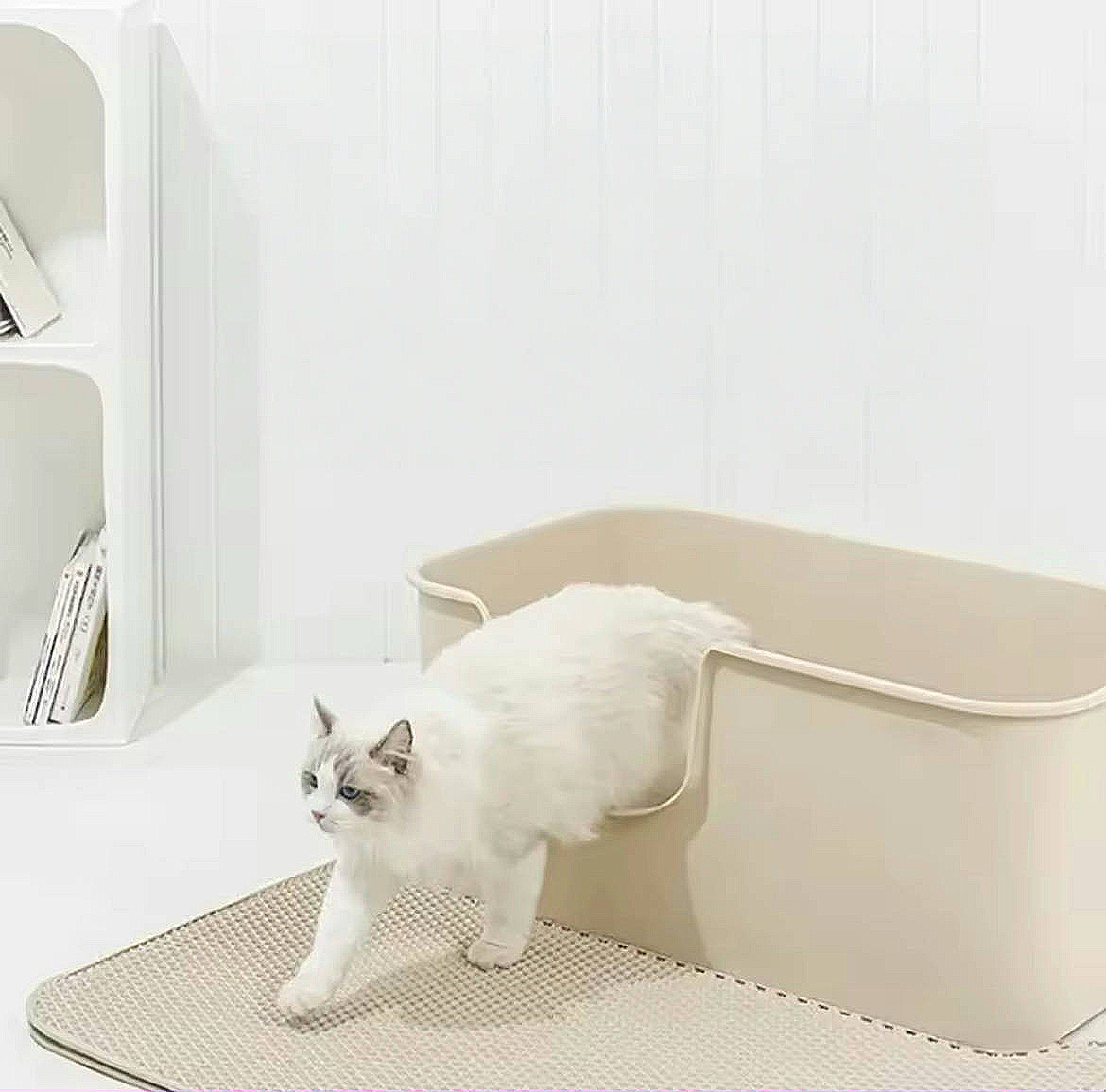 Cat Litter Box Mat Double Layer Non-slip