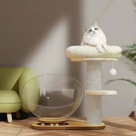 Cat Tree With Transparent Hemisphere Capsule Turntable Cat Toys