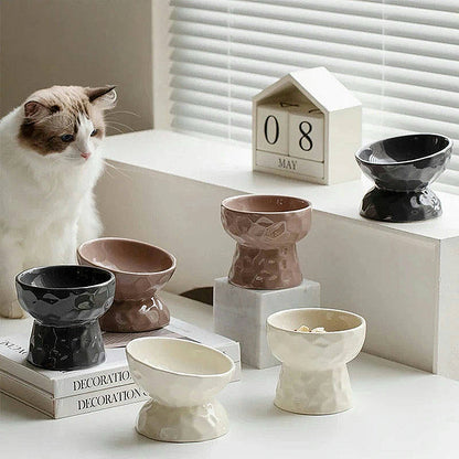 Gradient Elevated Pet Tableware