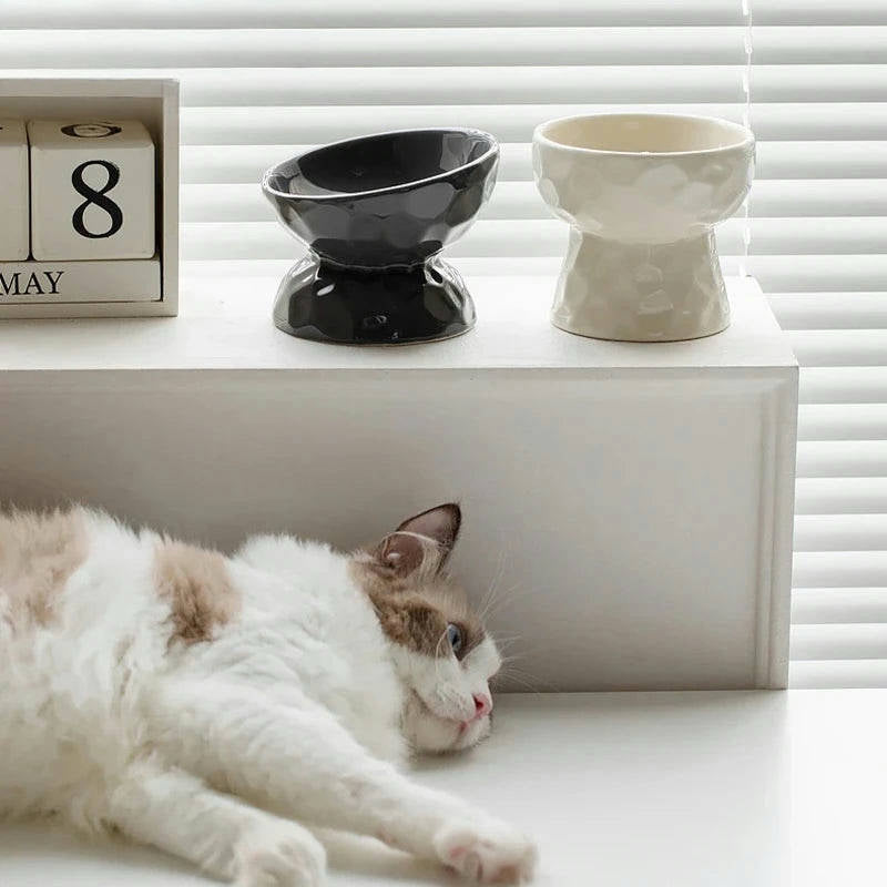 Gradient Elevated Pet Tableware