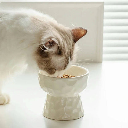 Gradient Elevated Pet Tableware