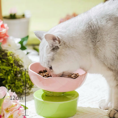 Flower Shaped Bowl Elevated Pet Tableware