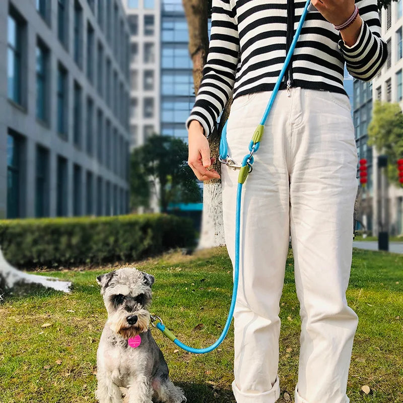 Reflective Hands-Free Multifunctional Dog Lead