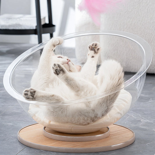 Transparent Capsule Wooden Base Pet Bed