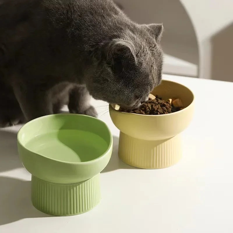 Nordic Matte Elevated Pet Tableware