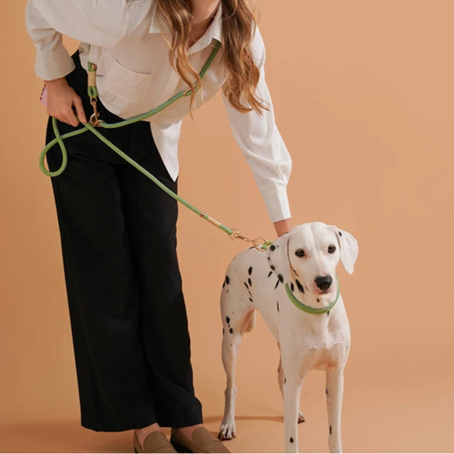 10 in 1 Multifunctional Hands-Free Dog Lead