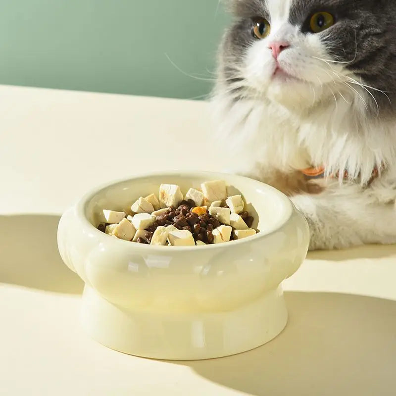 Textured Food Water Elevated Pet Tableware