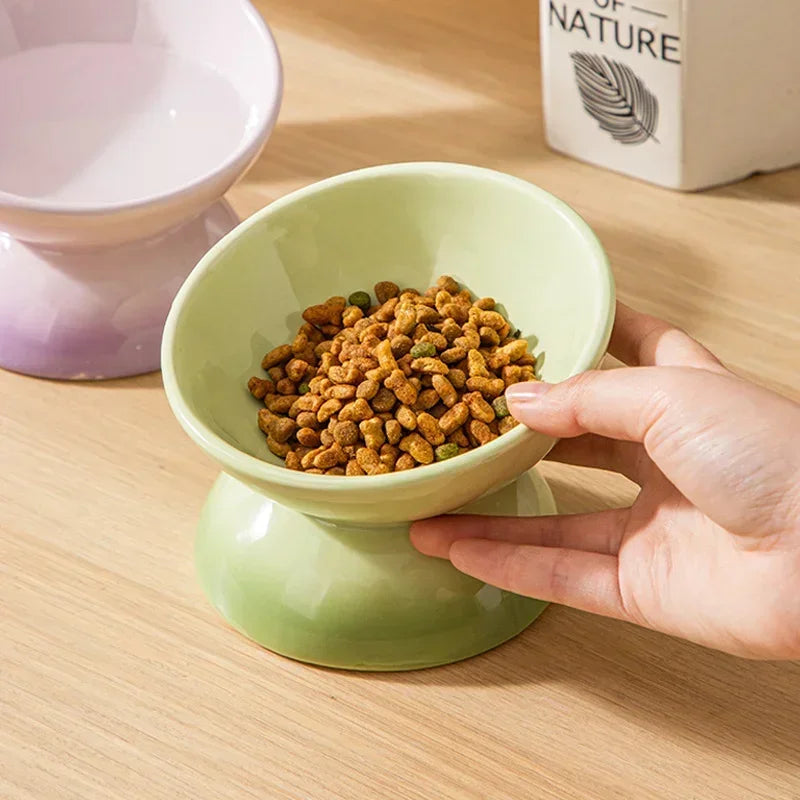 Gradient Elevated Pet Tableware