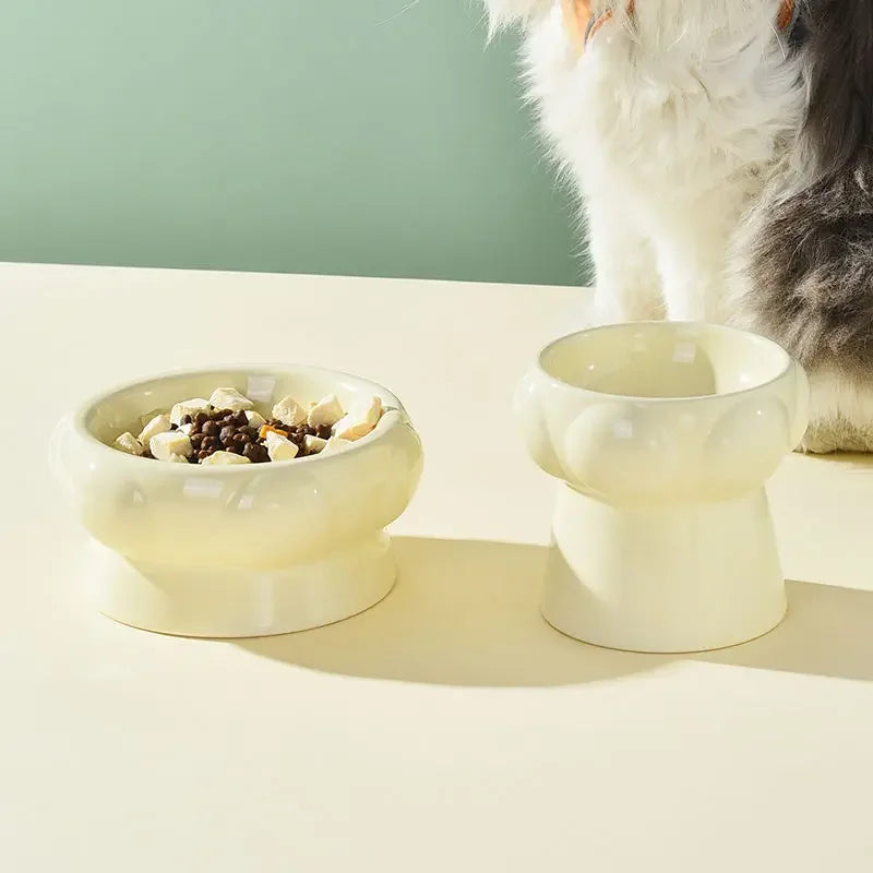 Textured Food Water Elevated Pet Tableware