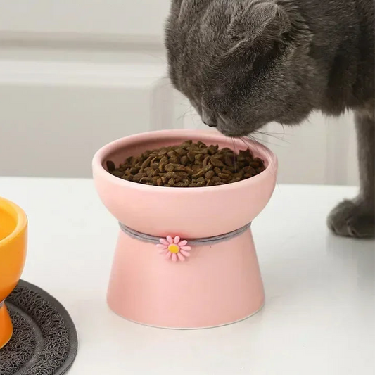 Daisy Tied Low/High Elevated Pet Tableware