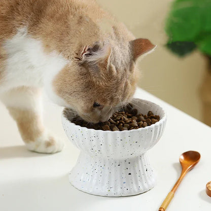 Porcelain Elevated Pet Tableware