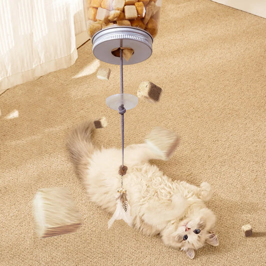 Interactive Cat Toy Slow Feed Dispenser