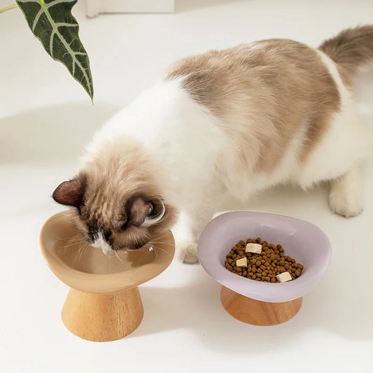 Tilted Mushroom Pet Tableware