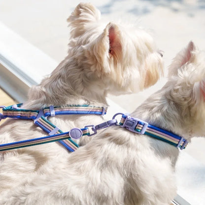 Multi Pastel Colour Adjustable Pet Collar And Lead Set