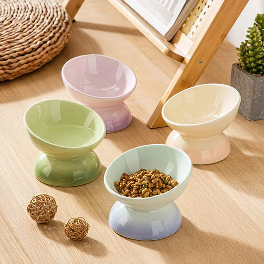 Gradient Elevated Pet Tableware