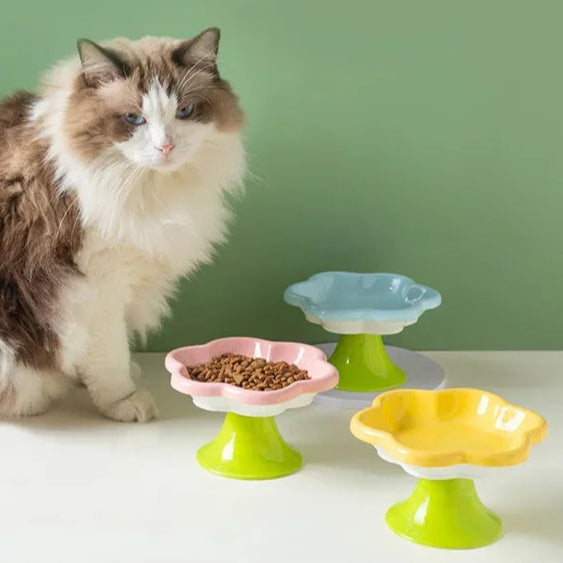 Playful Flower Design Ceramic Elevated Pet Tableware