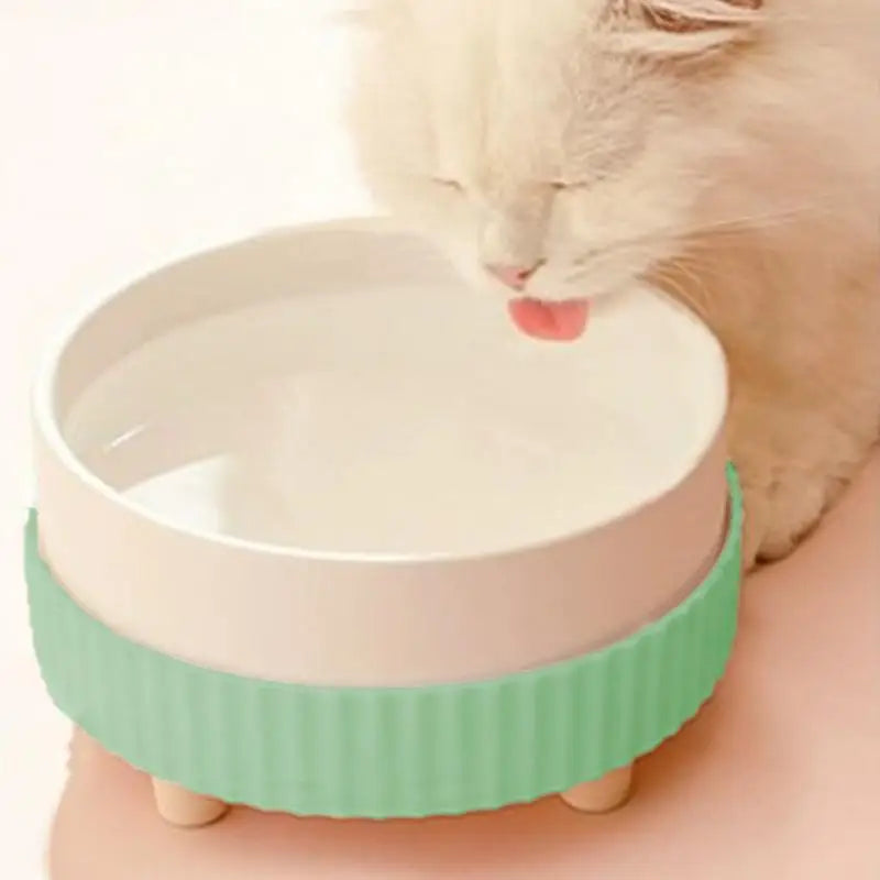 Quiet Rechargeable Heated Pet Food Water Bowl