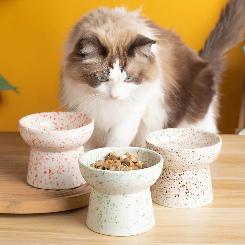 Splash Paint Spotted Elevated Pet Tableware