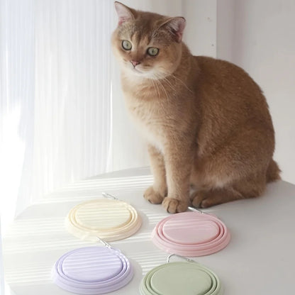 Pet Folding Silicone Portable Bowl