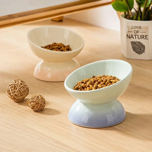 Gradient Elevated Pet Tableware