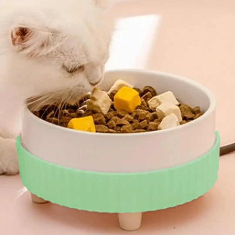 Quiet Rechargeable Heated Pet Food Water Bowl