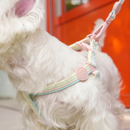 Multi Pastel Colour Adjustable Pet Collar And Lead Set