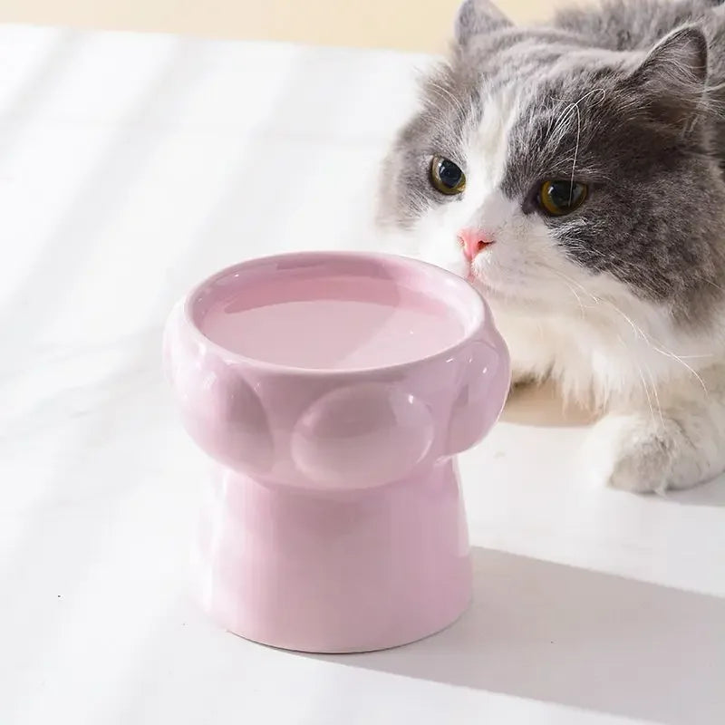 Textured Food Water Elevated Pet Tableware