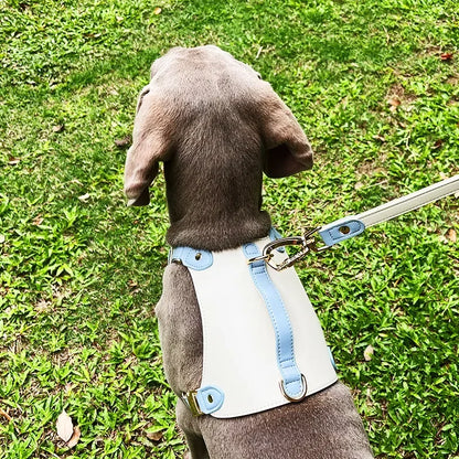 Leather Vest-Style Strap Pet Collar And Harness Set