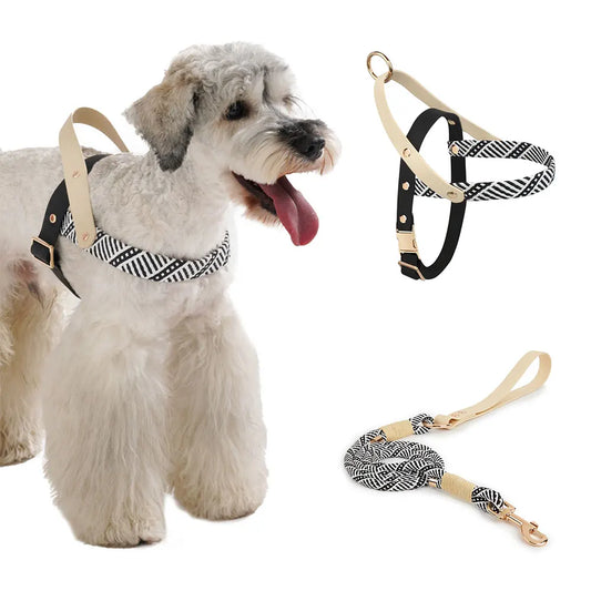 No Pull Neutral Soft Nylon Pet Harness And Leash Set