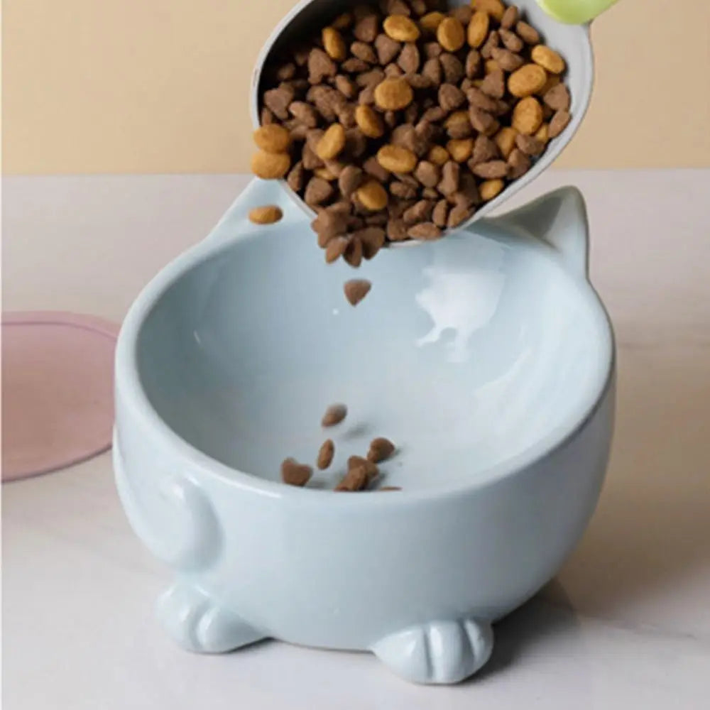 Cat Food and Water Bowl Tableware