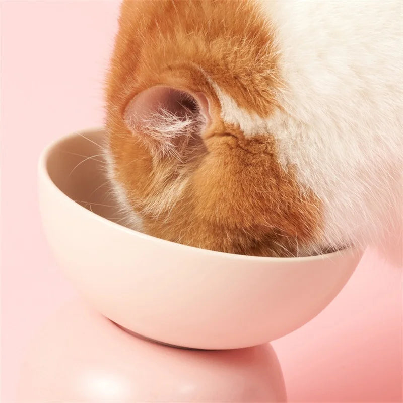 Elevated Food Water Pet Tableware