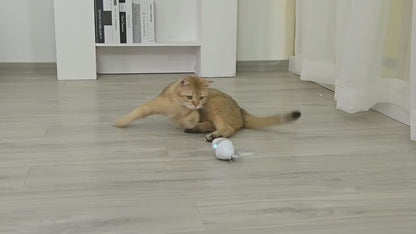 360° Automatic Interactive Rolling Mouse Cat Toy